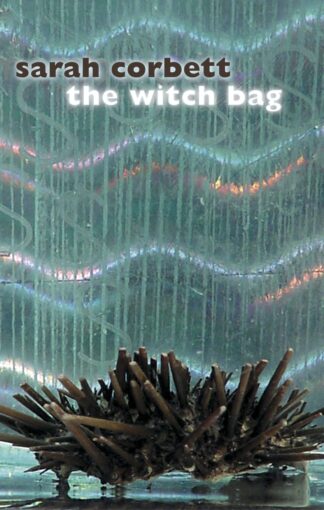 The Witch Bag (Paperback)