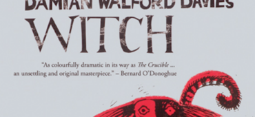 Witch by Damian Walford Davies