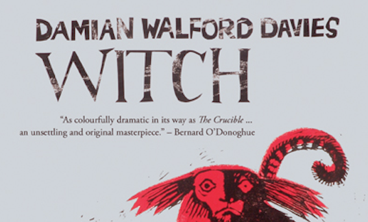 Witch by Damian Walford Davies