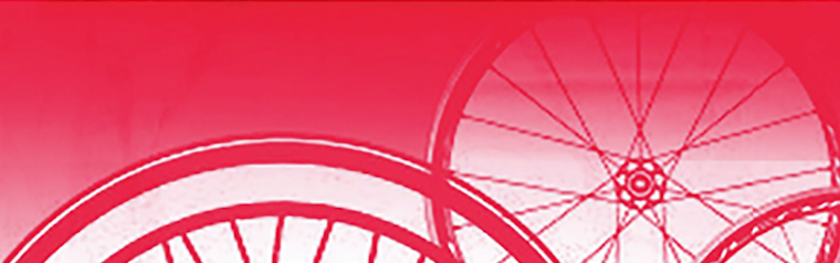 Ilse Pedler The Dogs that Chase Bicycle Wheels Mslexia pamphlet