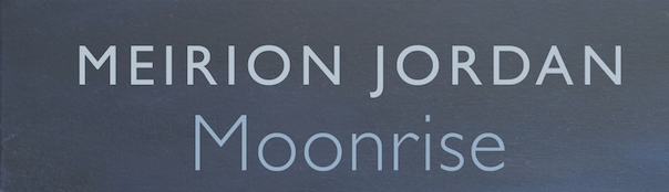 friday poem the new world meirion jordan