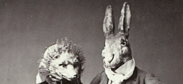 Friday Poem On Standby from Animal People by Carol Rumens