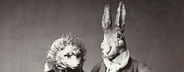 Friday Poem On Standby from Animal People by Carol Rumens