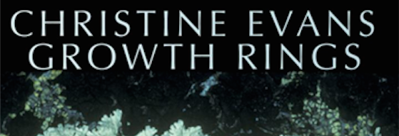 Friday Poem Talking in the Dark Christine Evans