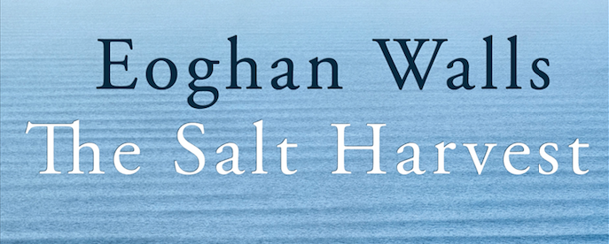 Friday Poem On the Sudden Passing of a Crow Eoghan Walls