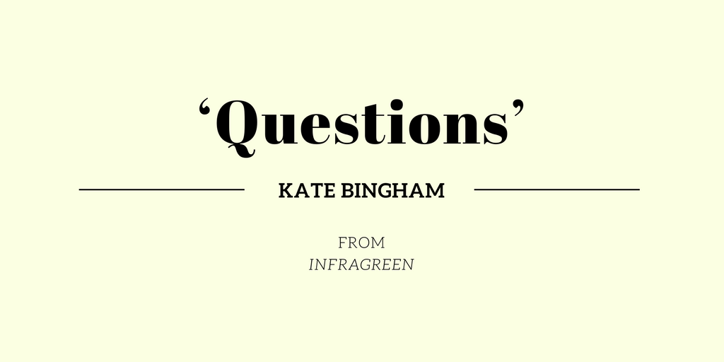 Friday Poem Questions Kate Bingham Infragreen