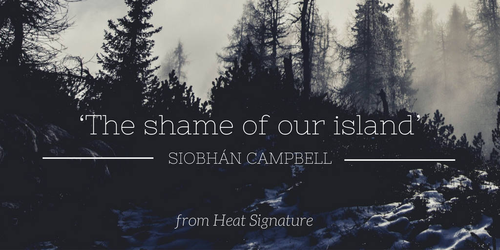 Friday Poem The shame of our island Siobhan Campbell