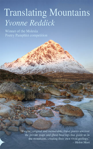 Yvonne Reddick Translating Mountains