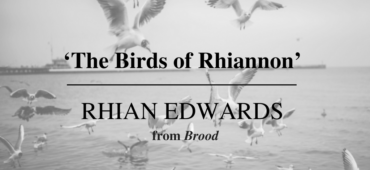 Friday Poem The Birds of Rhiannon Brood