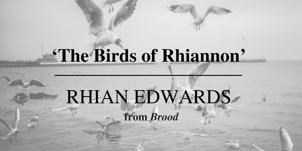 Friday Poem The Birds of Rhiannon Brood