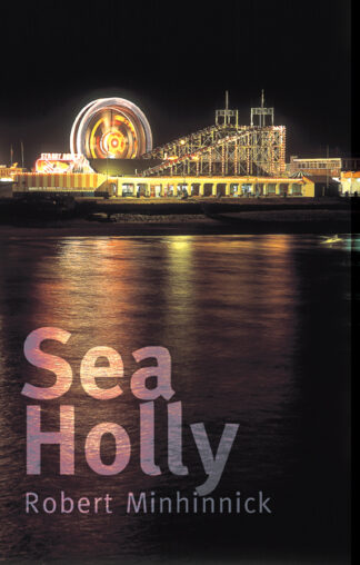 Sea Holly (Paperback)