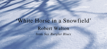 Friday Poem Robert Walton Horse in a Snowfield
