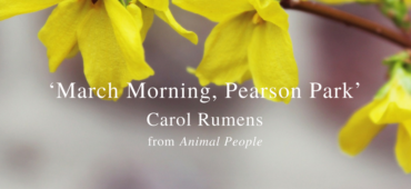 Friday Poem March Morning Pearson Park Carol Rumens