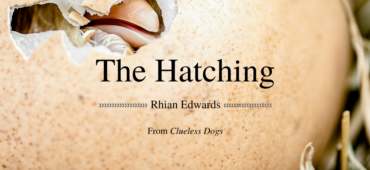 Friday Poem The Hatching Rhian Edwards