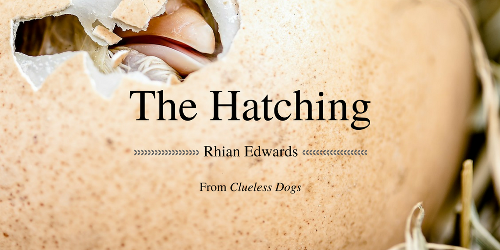 Friday Poem The Hatching Rhian Edwards