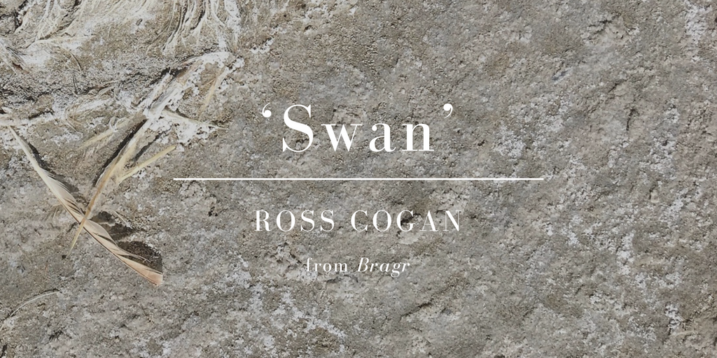 Friday Poem Ross Cogan Swan