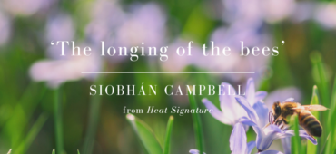 Friday Poem The Longing of the bees