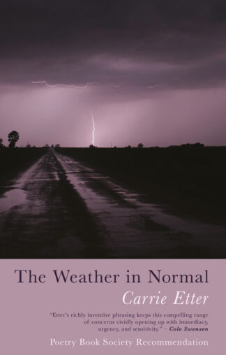 Carrie Etter The Weather in Normal