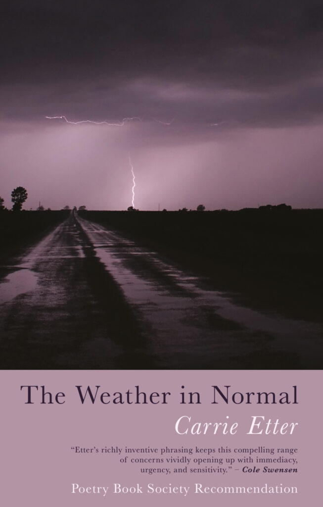 Carrie Etter The Weather in Normal