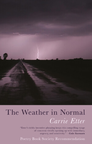 Carrie Etter The Weather in Normal
