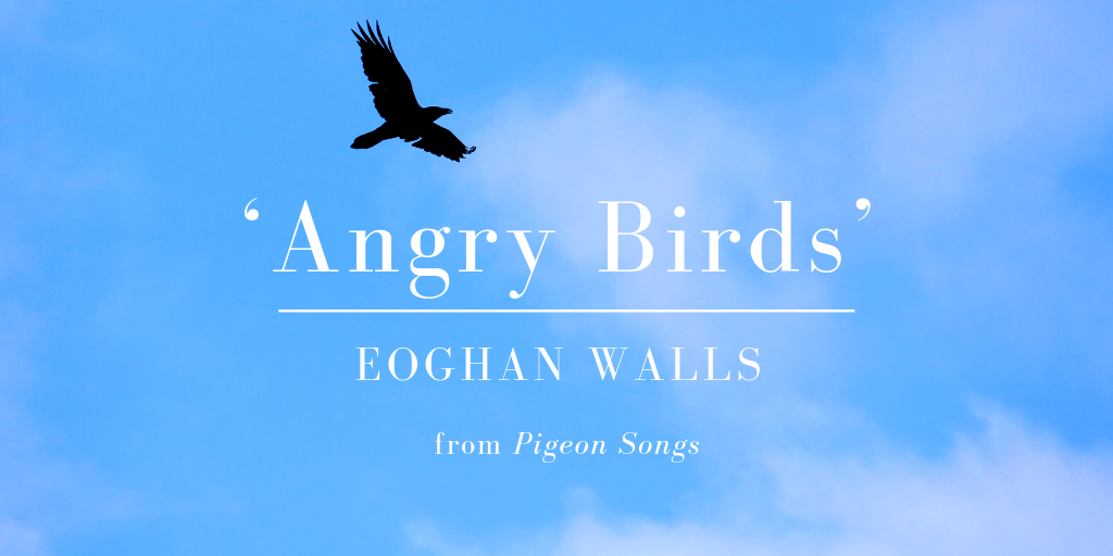 Friday Poem Angry Birds