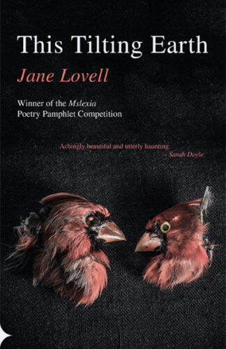 Jane Lovell This Tilting Earth