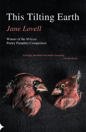 Jane Lovell This Tilting Earth
