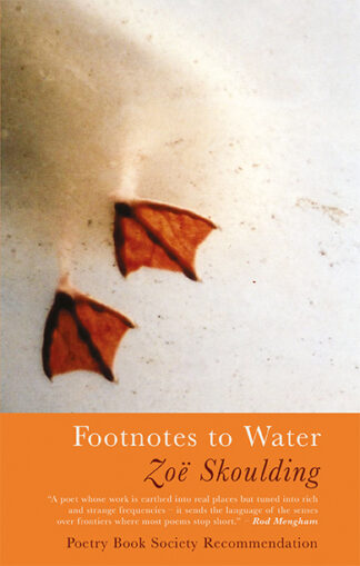 Footnotes to Water (Paperback)