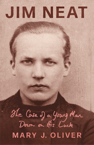 Jim Neat: The Case of a Young Man Down on His Luck (Ebook)