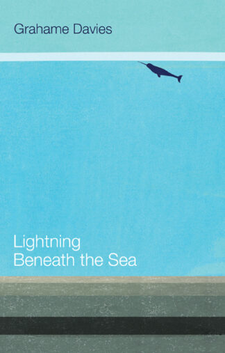 Lightning Beneath the Sea (Ebook)