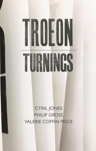TROEON : TURNINGS (Paperback)