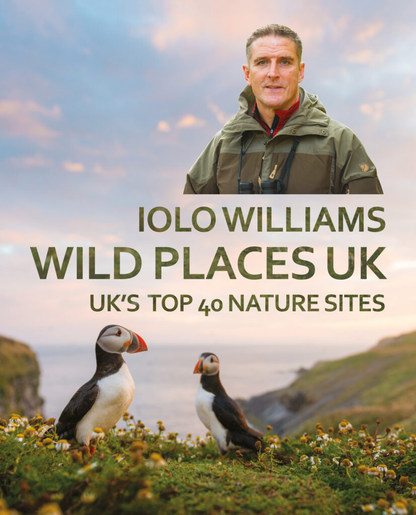 This cover shows an image of two puffins on Skomer Island. In the top right hand of the cover is a picture of Iolo Williams. He is a white man with cropped dark hair and is looking at the camera. He has binoculars around his neck. The text on the cover reads: Iolo Williams. Wild Places UK; UK’s top 40 Nature Sites.