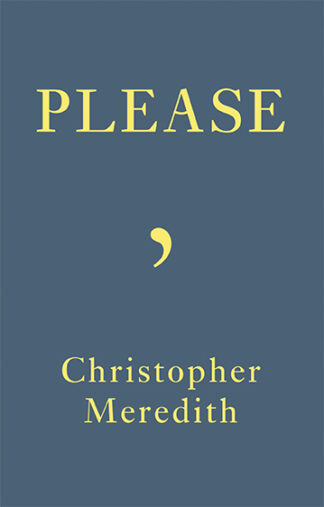 This cover has a simple blue-grey background and a single apostrophe. The text reads: Please. Christopher Meredith