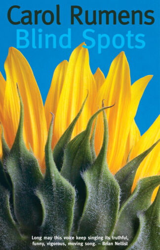 Blind Spots (Paperback)