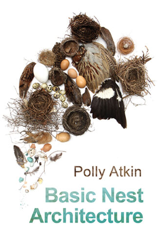 Basic Nest Architecture (Paperback)