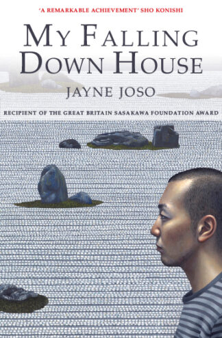 My Falling Down House (Ebook)