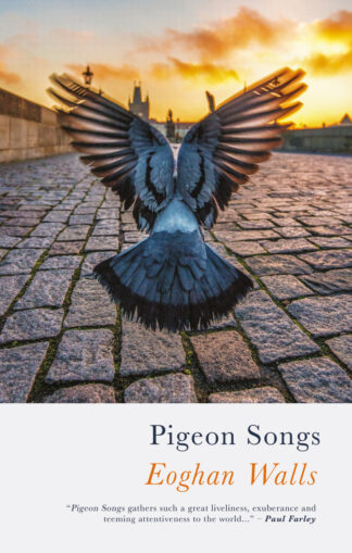 This cover shows a pigeon from behind taking off from cobblestones against a vibrant orange sky. The text reads: Pigeon Songs, Eoghan Walls