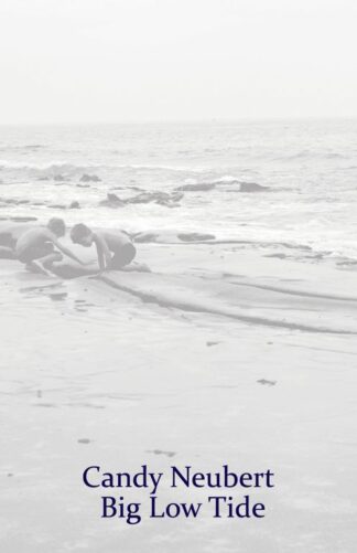 Big Low Tide (Ebook)
