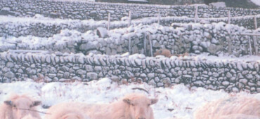 This cover shows a small number of sheep in the foreground. Behind the sheep is a snowy farmhouse. The text reads: Christmas in Wales. An Anthology edited by Dewi Roberts.