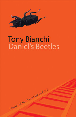 Daniel’s Beetles (Paperback)