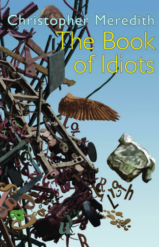 The Book of Idiots (Paperback)