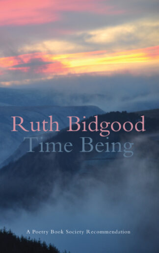 Time Being (Paperback)