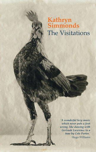 The Visitations (Ebook)