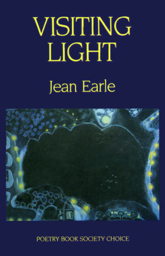 Visiting Light (Paperback)