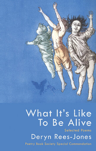 What It’s Like to Be Alive: Selected Poems (Paperback)