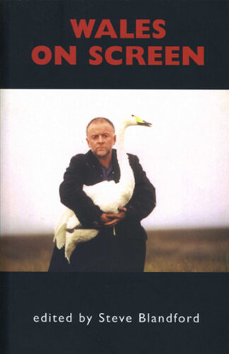 Wales on Screen (Paperback)