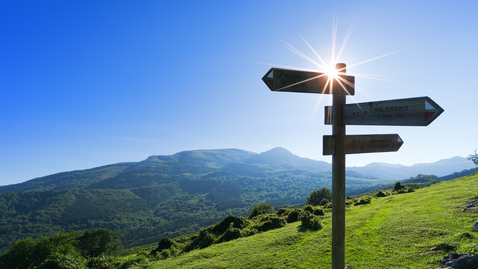 Photo of a wooden sign post pointing in various directions. Blue sky and green hills roll away behind it.