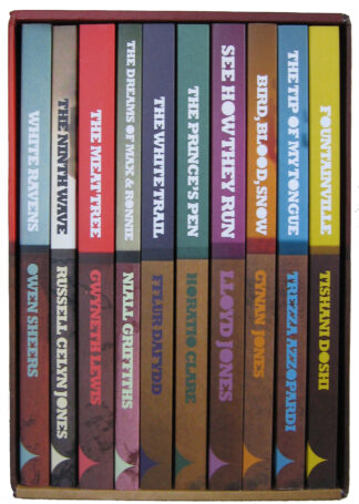 New Stories from the Mabinogion Box Set (Bundle)