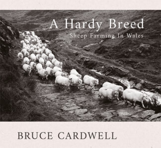 This cover shows a black and white image of a herd of sheep moving down the side of a mountain. The text reads: A Hardy Breed, Sheep Farming in Wales. Bruce Cardwell.