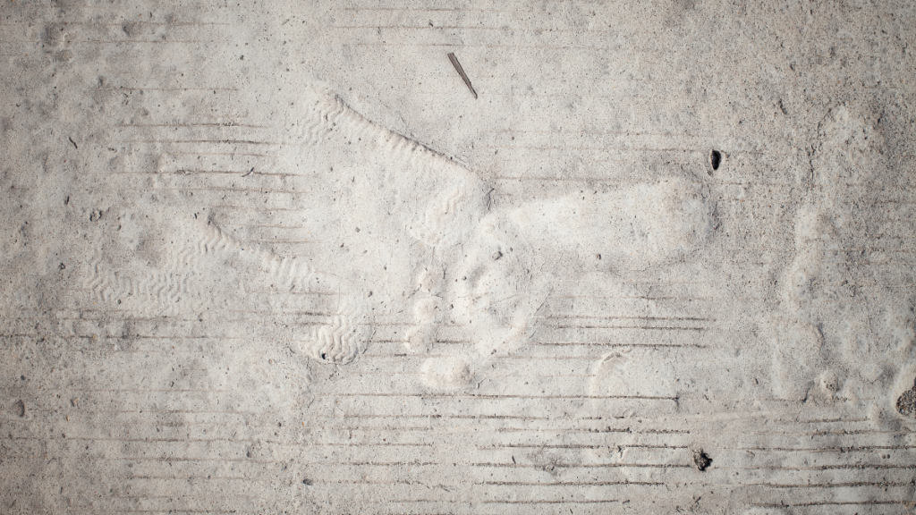 Faint outline of footprints in cement.